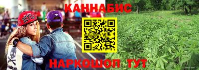 бошки Дубна