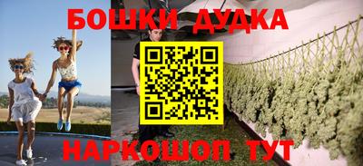 бошки Дубна