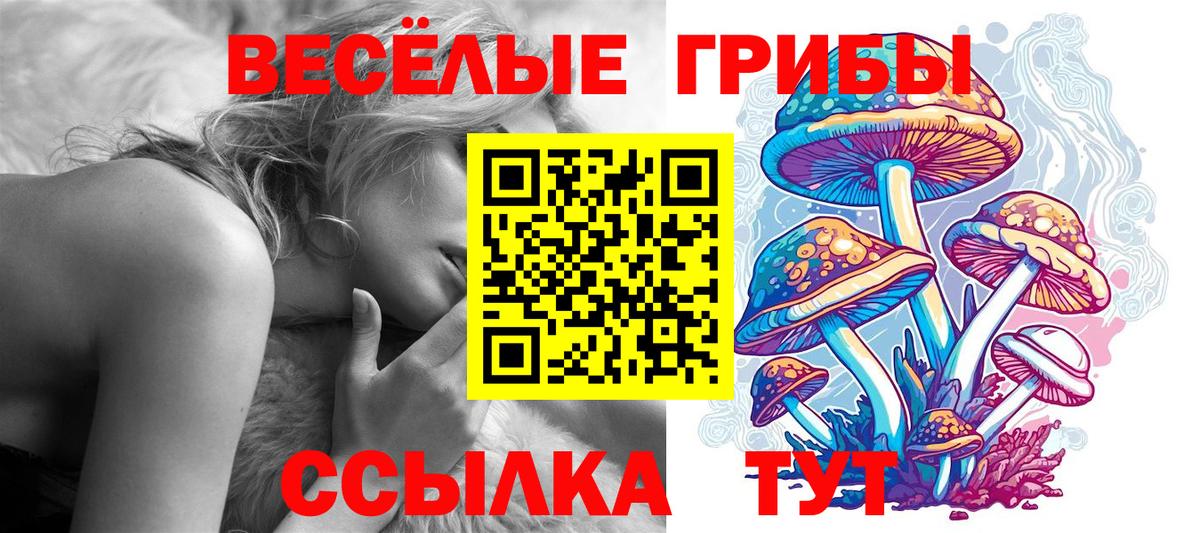Псилоцибиновые грибы Psilocybe Магнитогорск
