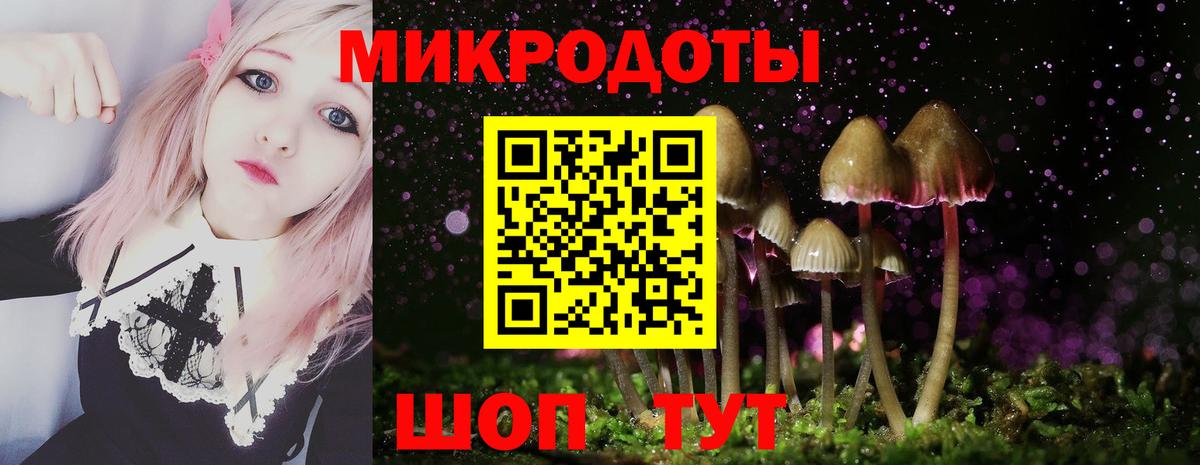 купить наркотики цена  Псилоцибиновые грибы мицелий  Вход с VPN  Магнитогорск 